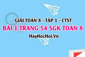 Giải bài 1 trang 54 Toán 8 Tập 1 SGK Chân trời sáng tạo